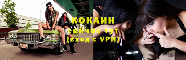 дживик Богданович
