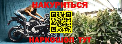 трава Гатчина