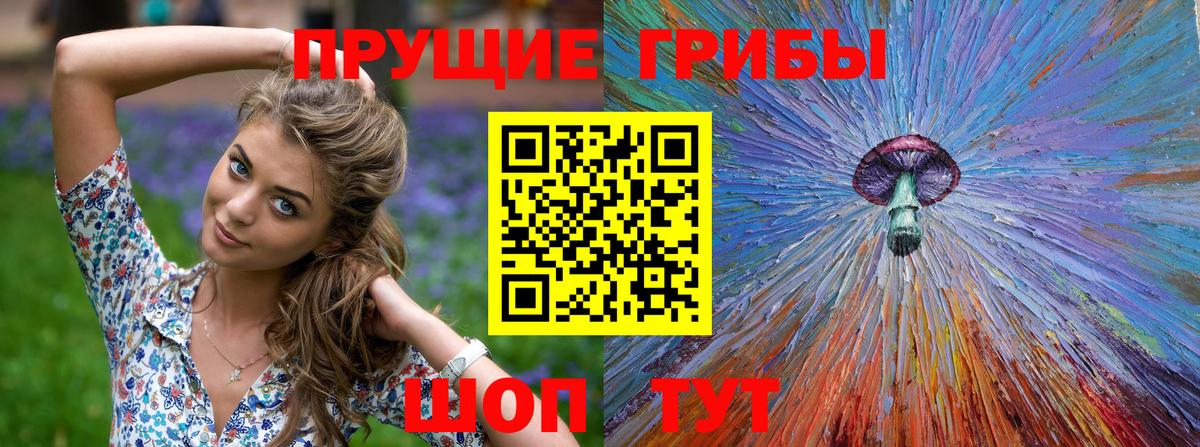 Галлюциногенные грибы прущие грибы  Вход с VPN  Гусев 